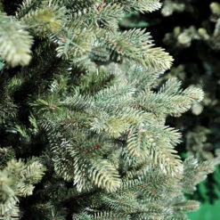 Christmas Decor Sales Store -Christmas Decor Sales Store 1102100 7.5ft slim maclura christmas tree 59018.1646387362