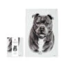 Delightful Dogs Staffy Terrier Kitchen Towel - 70cm -Christmas Decor Sales Store 519765 DELIGHTFUL DOGS STAFFY TERRIER KITCHEN TOWEL 70cm 07037.1675217723