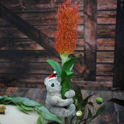 Aussie Christmas Bristle Koala Tree Topper - 19cm -Christmas Decor Sales Store AUSTRALIAN CHRISTMAS XORN KOALA TREE TOPPER STYLED IMAGE 02736.1664171147