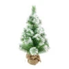 Snow Tipped Pine Needle Christmas Tree - 60cm -Christmas Decor Sales Store XD2856 SNOW TIPPED PINE NEEDLE CHRISTMAS TREE 60cm 92480.1691553461