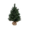 Green Ashbrooke Table Top Tree With Burlap Base - 60cm 2 Green Ashbrooke Table Top Tree With Burlap Base - 60cm -Christmas Decor Sales Store XXLASBM ASHBROOKE BURLAP TREE 1200 35010.1690954921